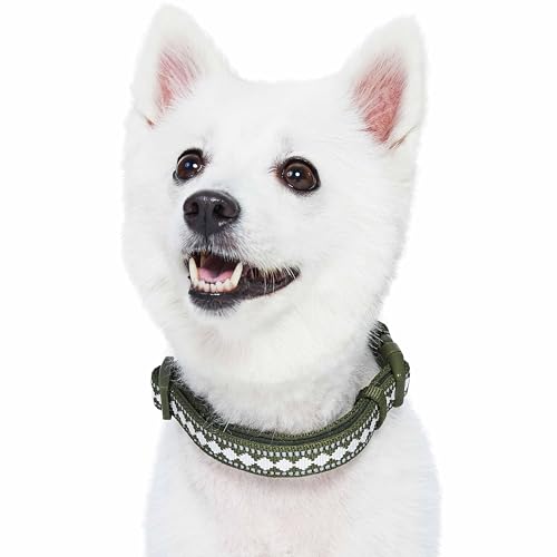 Blueberry Pet 3 Colors 3M Reflective Jacquard Neoprene Padded Adjustable Dog Collar, Olive - color: Polyester Buckle- Olive, size: Medium
