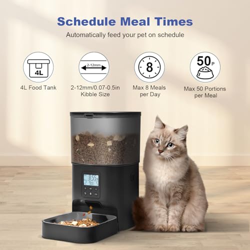 ANDOLL HOME Automatic Cat Feeder, Cat Food Dispenser with 10s Voice Recorder, Pet Feeder up to 8 Meals per Day, Timed Feeder with Dry Food Sealed Ring - color: Black