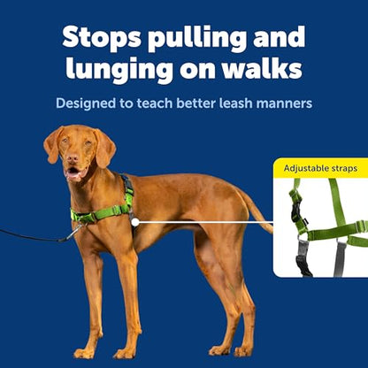 PetSafe Easy Walk No-Pull Dog Harness - Ultimate Harness to Help Stop Pulling - Pull-Free Walks - Take Control & Teach Better Leash Manners - Patented Martingale Loop Design - Apple Green, Medium - color: Apple Green/Gray, size: Medium