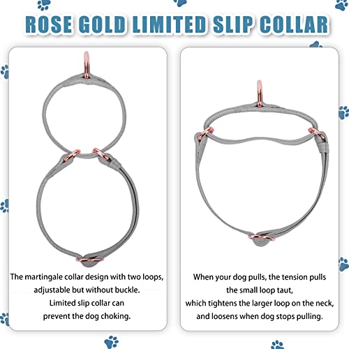 Soft Leather Martingale Dog Collar - Adjustable Rose Gold Limited Slip Collars [Easy to Clean], Stylish Durable Heavy Duty Nylon No Pull Training Collar for Small Medium Large Dogs XS Grey - color: Grey, size: XS (Neck 8"-11", Width 3/5")