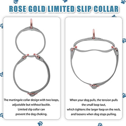 Soft Leather Martingale Dog Collar - Adjustable Rose Gold Limited Slip Collars [Easy to Clean], Stylish Durable Heavy Duty Nylon No Pull Training Collar for Small Medium Large Dogs XS Grey - color: Grey, size: XS (Neck 8"-11", Width 3/5")