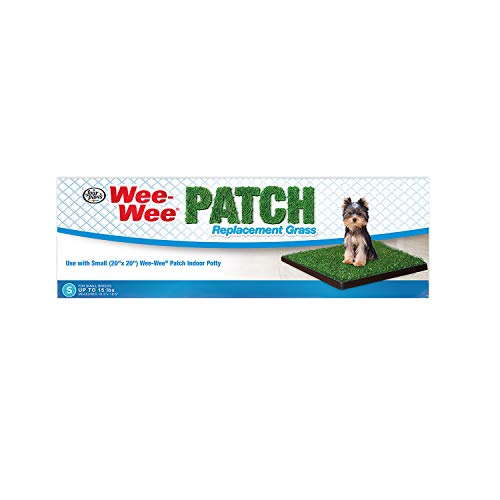 Four Paws Wee-Wee Premium Patch Indoor and Outdoor Pet Potty for Dogs l Dog Potty Training l Artificial Grass l Wee-Wee Patch - size: Small (12 Count), style: Patch