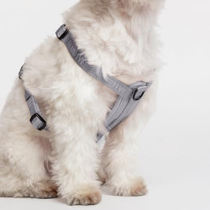 Fei & Eve Moxie Dog Harness for Small & Medium Dogs, Twilight Gray, XS | Lightweight Design, 3-Point No-Pull Control, Quick Release Metal Buckle - color: Twilight Gray, size: XS