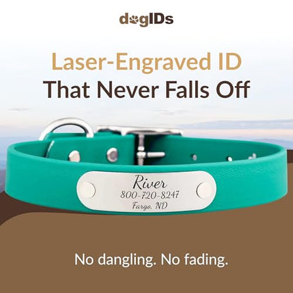 dogIDs Personalized Dog Collar – Custom Waterproof Soft-Grip Biothane with Laser-Engraved Nameplate, Durable & Odor-Resistant, USA Made | Teal, 1 in x 18 in (Fits Neck Sizes 16-20 in) - color: Teal, size: 1 in x 18 in (Fits Neck Sizes 16-20 in)
