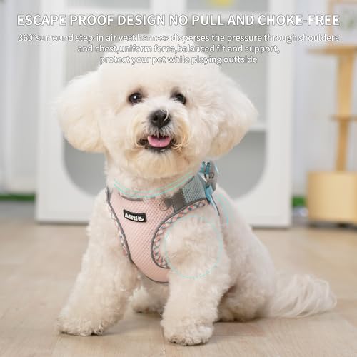 AIITLE Small Dog Harness - Breathable Double-Layer Jacquard No-Choke Vest, Durable Anti-Tear Fabric with Reflective Trim - Perfect for Running, Parties, Daily Walks (Blue-Pink, XS) - color: Blue-Pink, size: XS(Chest: 11.5 - 13.5")