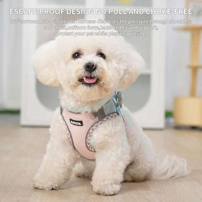 AIITLE Small Dog Harness - Breathable Double-Layer Jacquard No-Choke Vest, Durable Anti-Tear Fabric with Reflective Trim - Perfect for Running, Parties, Daily Walks (Blue-Pink, XS) - color: Blue-Pink, size: XS(Chest: 11.5 - 13.5")