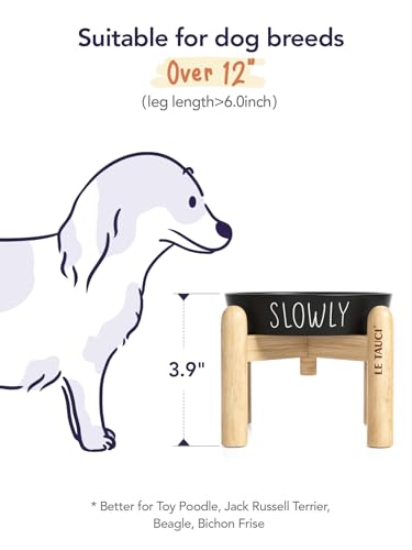 LE TAUCI PET Ceramic Slow Feeder Dog Bowls Elevated, 0.6 Cups Raised Dog Bowl with Wooden Stand for Small Breed to Slow Down Eating, Puzzle Food Bowl,Black - color: Black+Stand, size: S-0.6 Cups