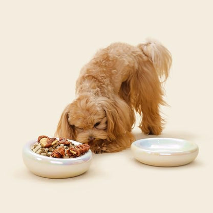 Pebble Pet Bowl Deep Pearl, Ergonomic Dog Cat Feeding Bowl, Flat-Faced Breed, Tilted Ceramic Pet Food Dish, Scooper Eater, Anti-Spill Design, Dishwasher Safe, Modern Pet Bowl, Dry & Wet Diet - color: Pearl
