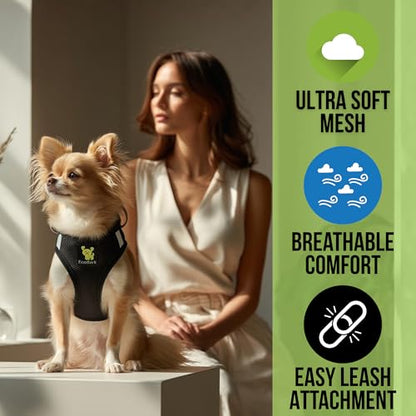 EcoBark Step in Dog Harness - Eco-Friendly Teacup Dog Harnesses for XXS, XS, and Small Dogs - Reflective and Adjustable Mini Body Halter Vest -Tiny Soft Mesh Toy Breed Harness (XXXS, Black) - color: Black, size: XXXS- 2 to 3 lbs- Chest up to 10 in (Pack o