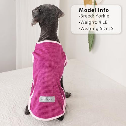 2 Pack Dog Clothes,Dog Shirts for Small Dogs,Quick Dry Dog Vest Boy Girl Summer, Puppy T-Shirt with Reflective Strip,Sun Protection Sleeveless Cool Breathable Pet Apparel(Pink and Green, XS) - color: Pink and Green, size: X-Small (Chest 12.2 in)