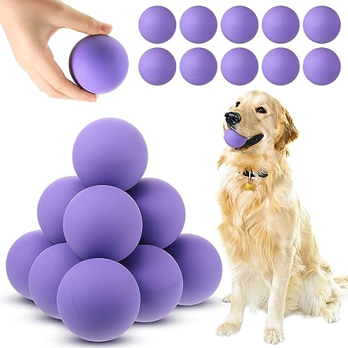 Hiboom 15 Pack Natural Rubber Tennis Balls for Dogs Catching Pet Dog Balls for Fetch Training 2.4 Inch Interactive High Bounce and Floatable pet Toy for Park Beach Gift(Purple) - color: Purple