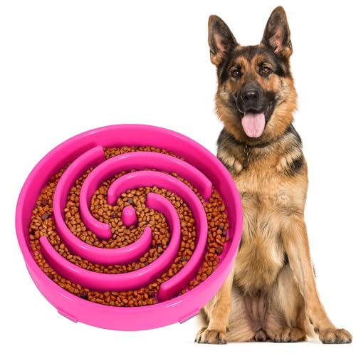 JASGOOD Slow Feeder Dog Bowl for Large Medium Dogs, Anti-Gulping Pet Slower Food Feeding Bowls, Stop Bloat, Preventing Choking, Healthy Design, R-Rose red - color: Hot pink