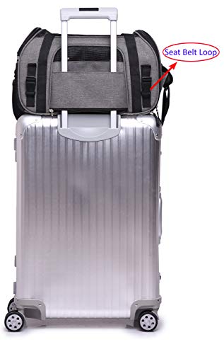 EliteField Soft Pet Carrier (3 Year Warranty, Airline Approved) Soft Sided Dog Puppy Cat Carrier Travel Bag (X-Large: 21" L x 12" W x 13" H, Charcoal Gray) - color: Charcoal Gray, size: 21.0"L x 12.0"W x 13.0"H