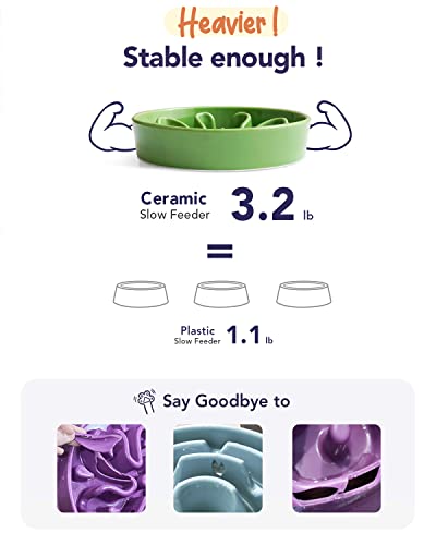 LE TAUCI Ceramic Slow Feeder Dog Bowls Elevated for Small and Medium Breed, Dog Bowls with Wooden Stand, 1.5 Cups Pet Dishes to Slow Down Eating, Anti-Gulping Pet Feeding Dishes, Clover Green - color: Clover Green+Stand, size: M-1.5 Cups