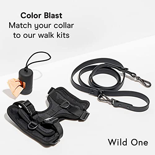 Wild One Dog Collar, Easy-Clean, All Weather Flex-Poly Strap with Metal, Durable, Dirt and Odor Resistant (Black, S) - color: Black, size: S