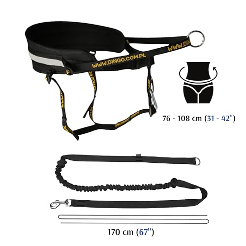 Dingo Hands Free Leash and Belt for Walking and Running with Dog, Bungee Training Leash, o-Ring Z30004