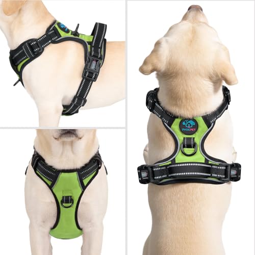PHOEPET No Pull Dog Harnesses for Small Puppies Reflective Adjustable Front Clip Vest with 2 Metal Leash Attachment Hooks Soft Handle(S, Green) - color: Green, size: Small