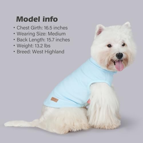 KYEESE 2Pack Dog Sweater Stretchy Dogs Clothes Soft Pets Clothes Warm Pets Coats Dog Sweaters for Small Dogs Male Turtleneck Small Pets Sweaters Pullover Pet Sweatshirt - color: 6# Stripe+blue, size: Large (12-18lbs)