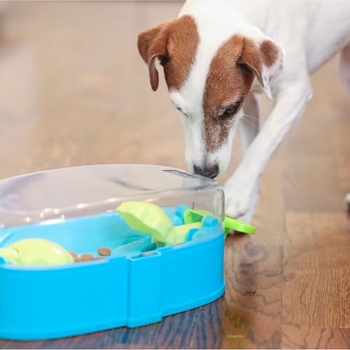 Outward Hound Nina Ottosson Paw N' Play Interactive Dog Treat Puzzle, Level 2 Intermediate Dog Enrichment Dog Toy, Blue, Small - color: Paw N' Play (Blue)