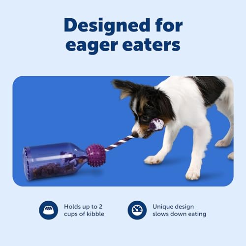 PetSafe Busy Buddy Tug-A-Jug Meal-Dispensing Dog Toy Use with Kibble or Treats Small