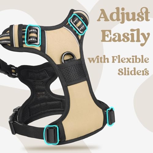 rabbitgoo Dog Harness Small Sized, No Pull Easy On & Off with 3 Buckles Pet Harness, Adjustable Soft Walking Vest with 2 Clips and Handle, Reflective for Small Dogs, Beige, S - color: Beige, size: Small