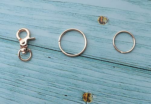 5 Pcs Dog Tag Clips with 5 Pcs 3/4 Inch Keychain and 1 Inch Keychain Gold Metal Dog Tag Rings for Pet Kitten Cat Collars ID Holder Harnesses