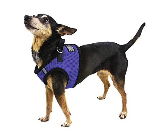 Dogline Boston Step in Mesh Dog Harness with Service Dog Patch No Choke Pet Vest Soft Gentle Padded Chest Halter for Puppies Small Medium and Large Dogs 21 to 24 inches Girth Purple - color: Purple, size: Girth 21 to 24"