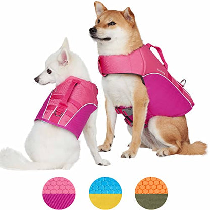Blueberry Pet 2023 New Reflective Dog Life Jacket for Flotation, Pink and Fuchsia, X-Small, Fashion Pet Swimming Vest, Life Saver with Adjustable Strong Handle - color: Pink and Fuchsia, size: X-Small