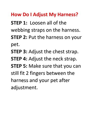 Best Pet Supplies Voyager Step-in Lock Pet Harness w Reflective Pet Leash Combo Set with Neoprene Handle 5ft - Supports Small, Medium and Large Breed Puppies/Cats - Army/Black Trim Set, XXXS - color: Harness Leash Set (Army/Black Trim), size: XXXS (Chest: