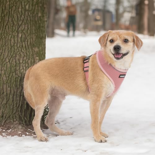 Best Pet Supplies Voyager Aerolite Over the Head Dog Harness, No Pull Breathable Air Mesh Vest, Quick Dry with Reflective Stitching, Adjustable Escape Resistant Harness - Pink, Medium - color: Pink, size: M