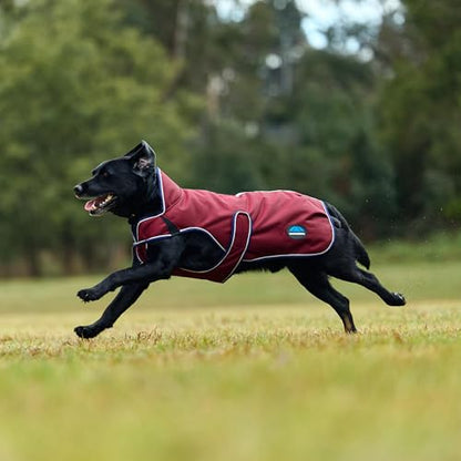WeatherBeeta ComFiTec Premier Deluxe Waterproof Dog Coat, Burgundy/Navy, 20" - color: Burgundy/Navy, size: 20"
