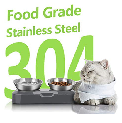 AYADA Raised Cat Food Bowl, Stainless Steel Cat Dish for Dry Wet Food Water, Anti Vomiting Elevated with Stand Ergonomic Lifted Slanted Tilted 15 Angle Metal Single Kitty Kitten Pet Bowl (Double) - color: Double