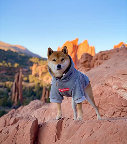ChoChoCho Pup Dog Hoodie & Sweater - Stylish Streetwear Cat & Puppy Cotton Sweatshirts in Gray - S, M, L - color: Pupreme, size: M (Chest: 13.8''-17'' / Suggest: 4-9 lbs)
