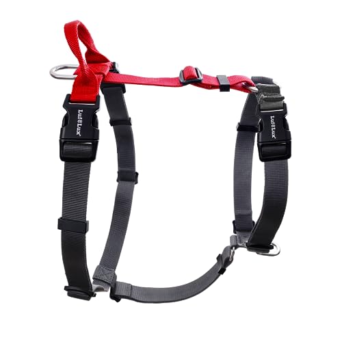 No Pull Dog Harness, Small, Red/Black | Non Restrictive, Neck Buckle Design, Six Points Adjustment, Lightweight Easy Walk, Small Dogs Chest(17-23inches) - color: Red/Black, size: Small