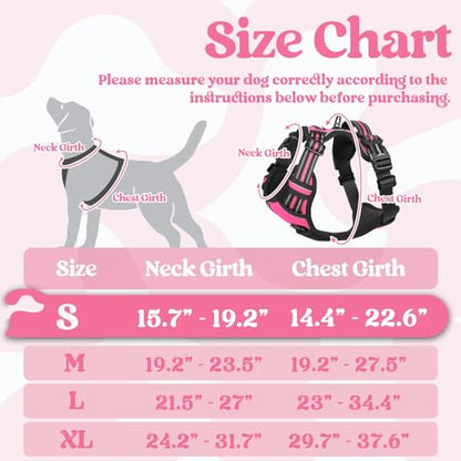 rabbitgoo Dog Harness Small Sized, No Pull Easy On & Off with 3 Buckles Pet Harness, Adjustable Soft Walking Vest with 2 Clips and Handle, Reflective for Small Dogs, Rose Pink, S - color: Rose Pink, size: Small