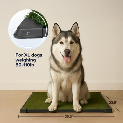 Dog Grass Pad with Tray - 35.5x23.5in Reusable Pee Pads for Dogs - 4-Layer Indoor/Outdoor Artificial Grass Pee Pad - Dog Housebreaking Supplies for Puppy Training by PETMAKER - size: XL 4-Layer System