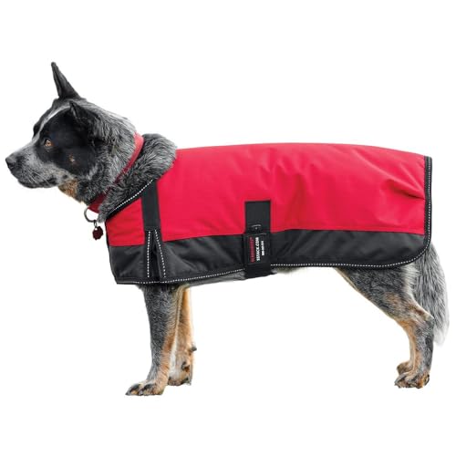 Schneiders Waterproof Reflective Dog Coat II | 600D Polyester Waterproof | Reflective Threading | Soft Nylon Lining | Closed Front and Bellyband Closure | Color Red | Size Medium - color: Red, size: Medium