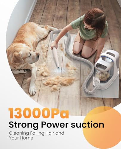 oneisall Dog Grooming Vacuum, 13000Pa Extra Large 3L Dust Cup Pet Vacuum with Clipper Nail Grinder & Shedding Brush, 7 in 1 Dog Grooming Kits, Low Noise, 3X Capacity & 3 Suction Levels, BM3