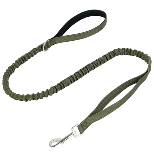WYuZe 4ft Bungee Dog Leash Reflective Soft Handle Small Medium Dogs No Pull | Stretch Shock Absorbing Nylon Leash for Anti-pull Walking Training - color: Army Green