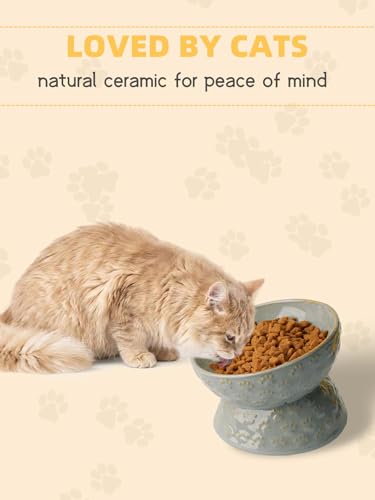 GDCZ Ceramic Tilted Elevated Cat Bowl, for Fat Faced Cat, Kitten (Grey) | 15° Tilted Elevated Design,5oz Small Meal Capacity,Chin-Friendly Ceramic,Paw Print - color: Grey