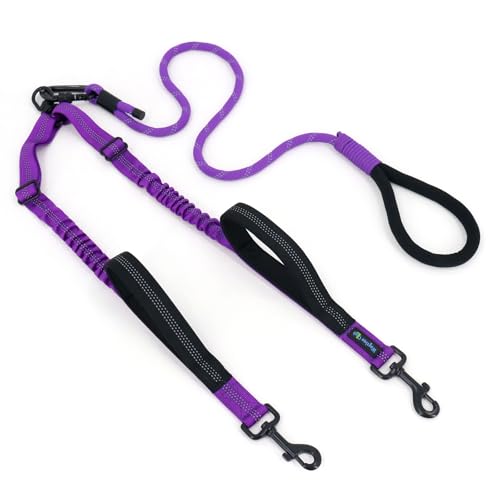 Double Dog Leash No Tangle – Dual Dog Leash for 2 Dogs with Shock Absorbing Bungee, 360° Swivel, Reflective Safety, Heavy Duty for Medium & Large Dogs (Vibrant Purple) - color: Vibrant Purple