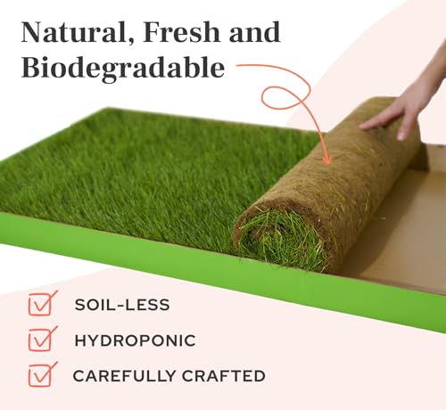 DoggieLawn XL - Real Grass Dog Pee Pad with Built-in Disposable Tray | No Cleaning, Odor-Free | Indoor Outdoor Potty Training for Puppies & Large Dogs | 48" x 24" - size: X-Large 24x48 inches