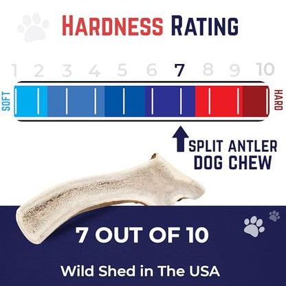 Devil Dog Pet Co. Split Elk Antlers for Dogs, Natural Dog Chew with Exposed Marrow - Long Lasting and Odor Free - USA Sourced - Cleaner Teeth, Anxiety & Boredom Relief - Small 4"+ 2 Pack - style: split - Small - 2 Pack