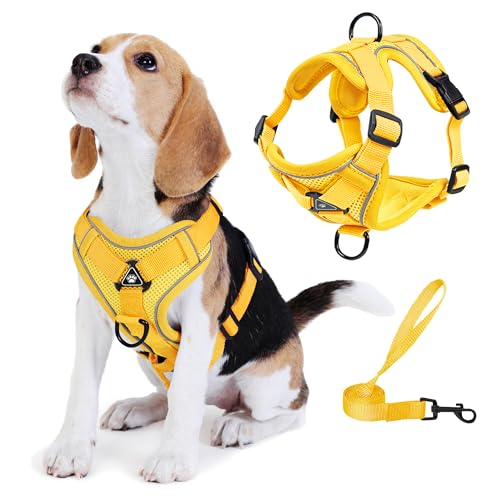 No Pull Dog Harness with Leash Set for Small Sized Dog, Reflective Adjustable No Choke Front Clip Cat Vest Harness with Breathable Mesh, Comfortable Soft Padded Pet Vest, Yellow M - color: Yellow, size: M (Neck 7.42-11.75'' Chest 7.42-13.72'')