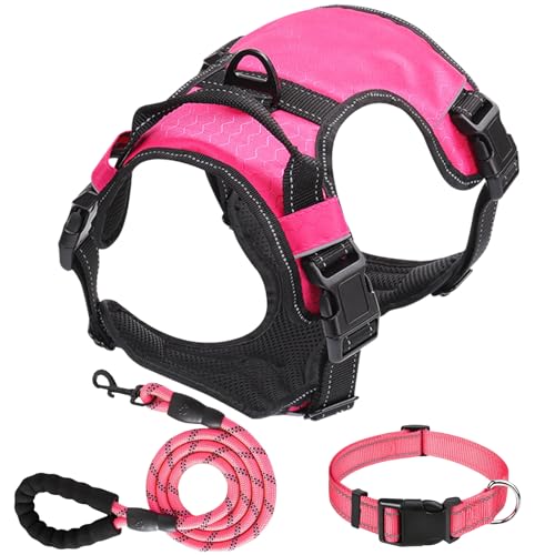 Dog Harness Set, No Pull Dog Vest Harness and 5ft Leash & Collar for Small Medium Sized Large Dog Cat,Adjustable Soft Nylon Padded Dog Vest Reflective Front Clip Vest with Easy Handle -Pink S - color: Pink, size: S