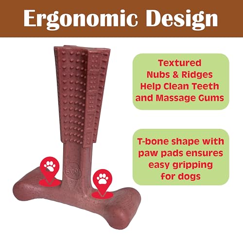 SPOT Bam-Bones Plus Coffee Wood T-Bone Dog Chew Toy, Beef Flavor, Nylon and Coffee Wood Fiber Blend, Durable Chew for Heavy Chewers and Dogs Under 90 lbs, Non-Splintering Dental Chew, 7 Inch - size: 7 Inch (Pack of 1)