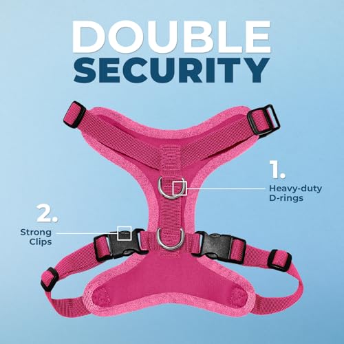 Best Pet Supplies Voyager Step-in Lock Pet Harness w Reflective Pet Leash Combo Set with Neoprene Handle 5ft - Supports Small, Medium and Large Breed Puppies/Cats - Fuchsia, XS - color: Harness Leash Set (Fuchsia), size: XS (Chest: 13 - 16")