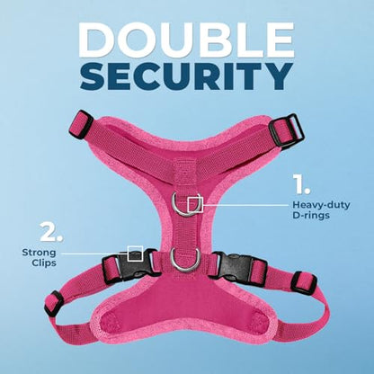 Best Pet Supplies Voyager Step-in Lock Pet Harness w Reflective Pet Leash Combo Set with Neoprene Handle 5ft - Supports Small, Medium and Large Breed Puppies/Cats - Fuchsia, XS - color: Harness Leash Set (Fuchsia), size: XS (Chest: 13 - 16")