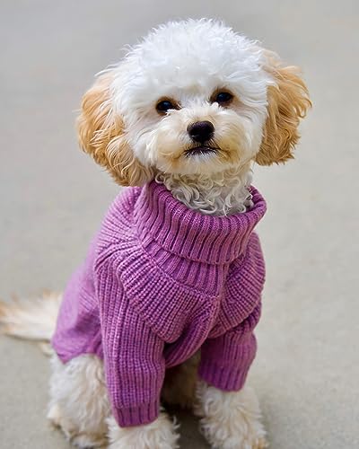 Fitwarm Thermal Knitted Dog Sweater Doggy Winter Coat Pet Clothes Doggie Turtleneck Jacket Puppy Outfits Cat Sweatsuit Lavender Purple Small - color: Purple, size: Small