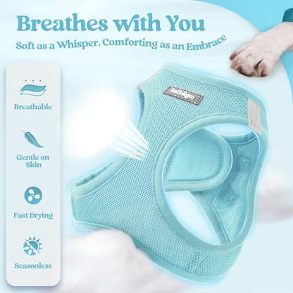 rabbitgoo Dog Harness Small Sized and Leash Set, Step in Soft Light Puppy Vest, Breathable Mesh Pet Harness, Reflective for Safe Easy Walking, Mint Blue XXXS - color: Mint Blue, size: Xxxs (chest: 10.8 - 11.8")